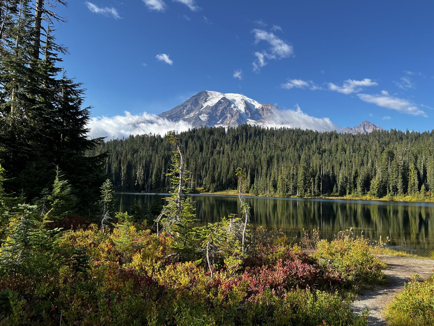 Mount Rainier NP 